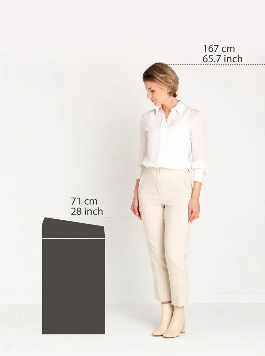 Veļas grozs Brabantia Bo Touch 60 l Mineral Moonlight Black Photo 3