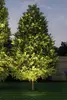 Paulmann 939.08 Plug & Shine LED Outdoor Floor Light Photo 4