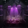 Springos GA0223 LED augu lampa | 12W augu apgaismojums Photo 4
