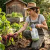 Springos GA0254 2L Pressure Garden Sprayer Photo 5