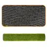 Искусственный газон Springos GA0260 1x5 м Photo 7