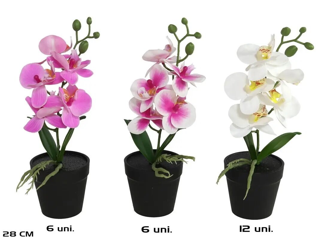 Flower Pots