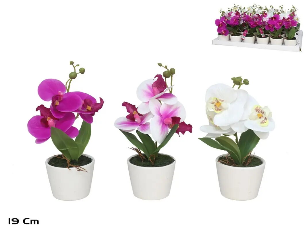 Artificial Plants