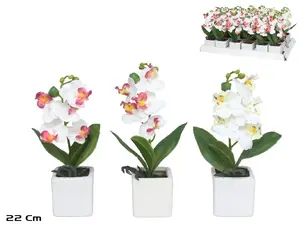 Lito Artificial Orchid Plant in Pot, 22 cm