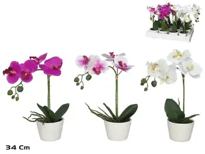 Lito Artificial Orchid in Pot 34 cm