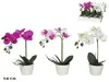 header-product
