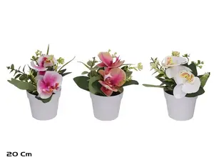 Lito Artificial Orchid in Pot 20 cm