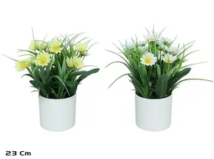 Mākslīgā margrietiņu zāle podiņā Lito 23 cm