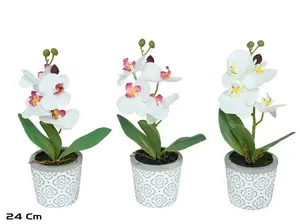 Lito mākslīgā orhideja podiņā, 24 cm, 4 gabalu komplekts