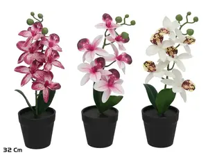 Lito Artificial Orchid Pot 32 cm