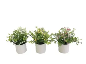 Mākslīgais eikalipts Lito Gypso podā 21 cm