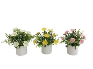 Mākslīgā margrietiņa podiņā Lito