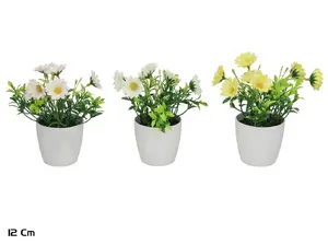 Mākslīgā margrietiņa podiņā Lito