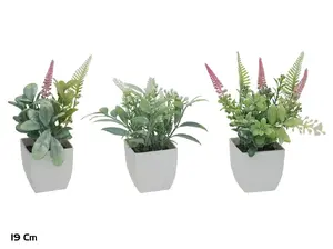 Mākslīgo garšaugu komplekts podiņā Lito, 19 cm