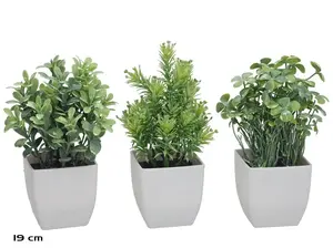 Mākslīgo garšaugu komplekts podiņā Lito, 19 cm