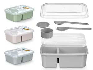 Leknes 67007 Lunch Box with Cutlery Separator