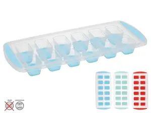 Summer Enjoy Ice Cube Tray