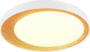 Reality Aleta LED griestu lampa, regulējama krāsu temperatūra 2700K-6500K
