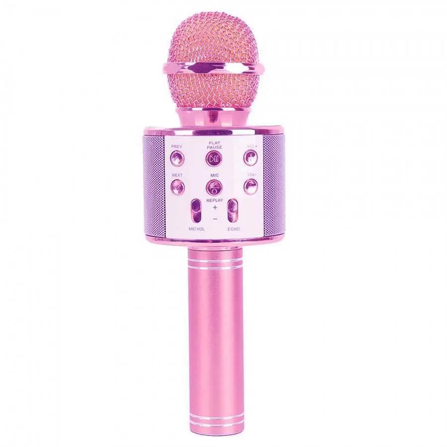 Royal Song WS-858 karaoke mikrofons, WS-858