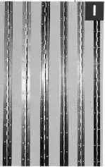 TKZ Royal nepārtrauktā eņģe 32 x 0.6 x 174 mm Photo 2