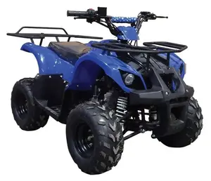 Квадроцикл NENURODYTA_Z HB-ATV125C