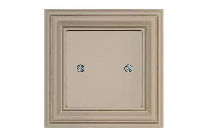 LIREGUS D-001-01.R/ONC Switch Cover Photo 2