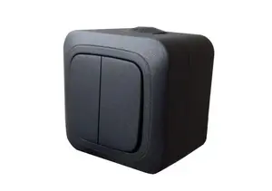 Двухклавишный выключатель LIREGUS HERMI PJ5.10-008, черный