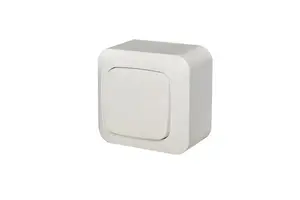 Liregus PJ1 10-012 White Light Switch