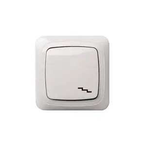 LIREGUS PP6 10-012 Changeover Switch, White
