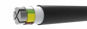 Силовой кабель TT_CABLE AXMK 4X10 RE