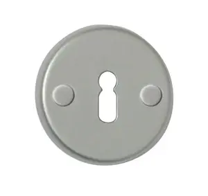 BARCZ T2 Door Key Plate, Silver, 100 mm