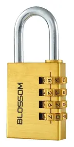BLOSSOM NL11 Lock, Gold, 38 mm x 13 mm