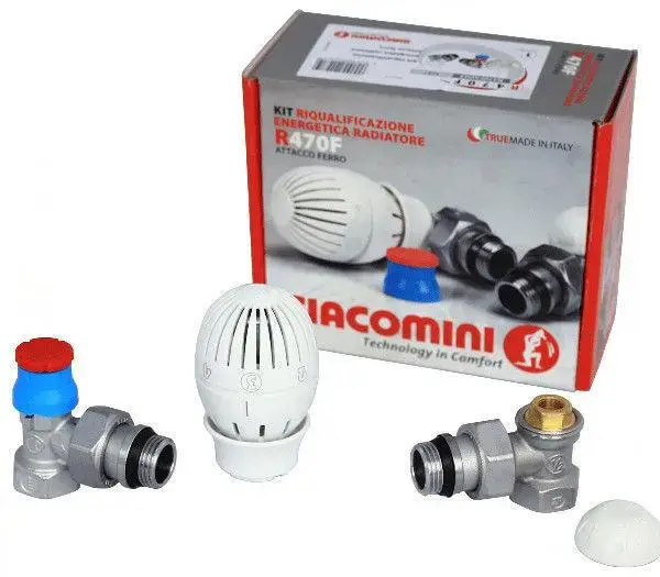 Комплект клапанов Giacomini R470FX003 Photo 3