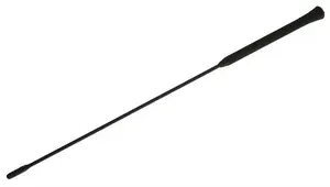 NENURODYTA_Z SN automašīnas antenas uzgalis