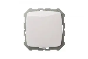 LIREGUS IESJ1.10-005 Doorbell Push Button, Aluminum