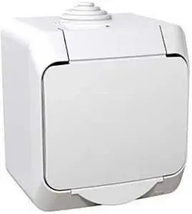 Schneider Electric Cedar WDE000541 Flush-Mounted Switch