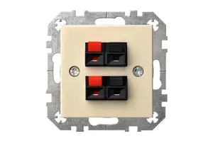 LIREGUS Epsilon 2-Speaker Connection Socket