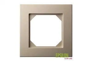 LIREGUS Epsilon 1-Gang Frame, Champagne