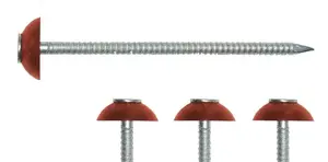 Gutta Bitumen Roofing Nails, Red, 200 Pieces
