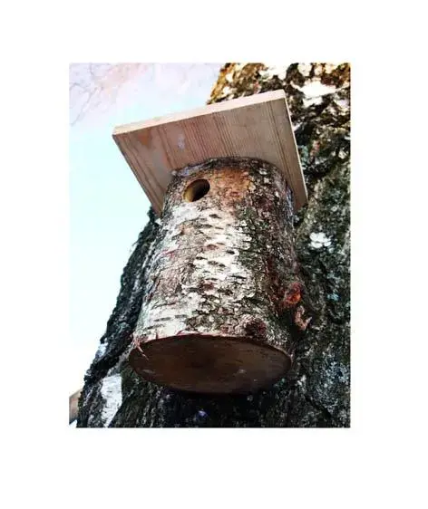 NENURODYTA_V PARUS putnu būris Photo 2