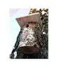 NENURODYTA_V PARUS putnu būris Photo 2