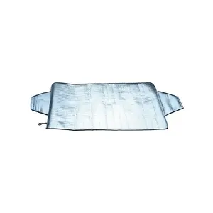 NENURODYTA_Z HG-006S/1 Snow Cover