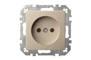 Liregus Epsilon Socket without Frame, Champagne