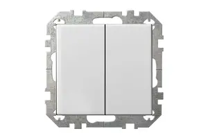 LIREGUS Epsilon IJ5 10-203-01 2-Gang Switch