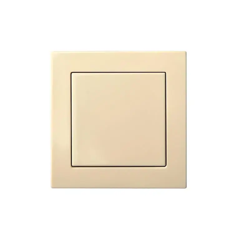 Электрический выключатель LIREGUS IIJ1 10-203-01 E/S Photo 2