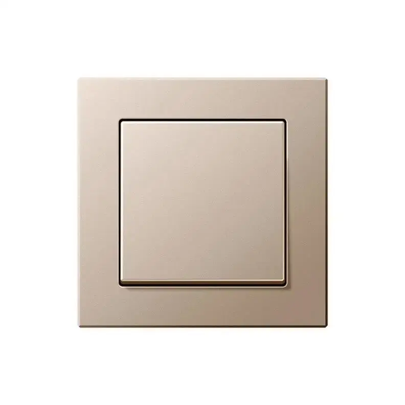 Проходной выключатель LIREGUS IPK6 10-201-01 E/CH Photo 2