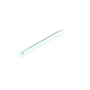 NAGLAS AR APAĻU GALVU 1,6X18 ZN 50GR (SUKI)