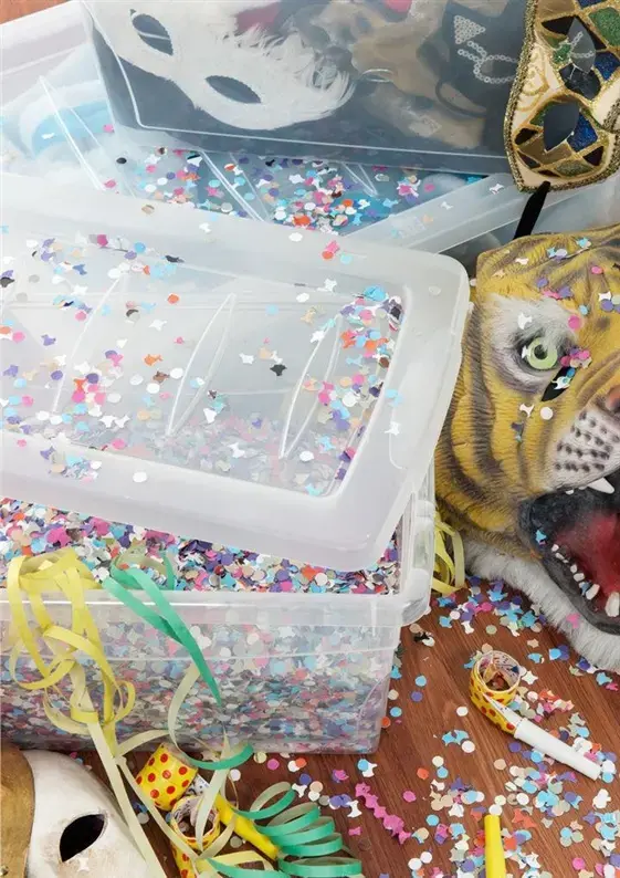 KIS Goodiy M Storage Box 29L Photo 2