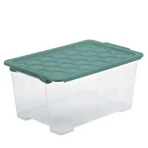 rotho 10081/GREEN 7610859246363