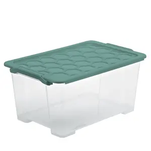 Rotho EVO SAFE Storage Box, 44 L, Rectangular, Green and Transparent